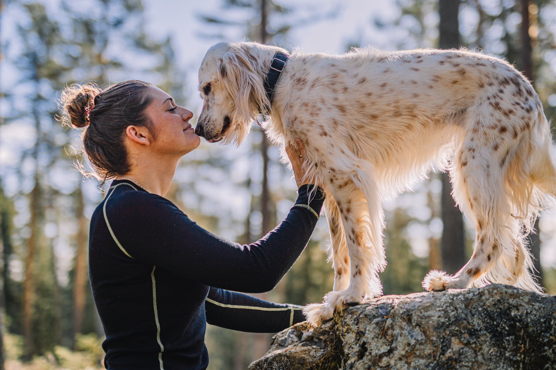 Kvinne i svart genser klapper en hvit og brunflekket hund som står på en stor stein i skogen, med trær og blå himmel i bakgrunnen.