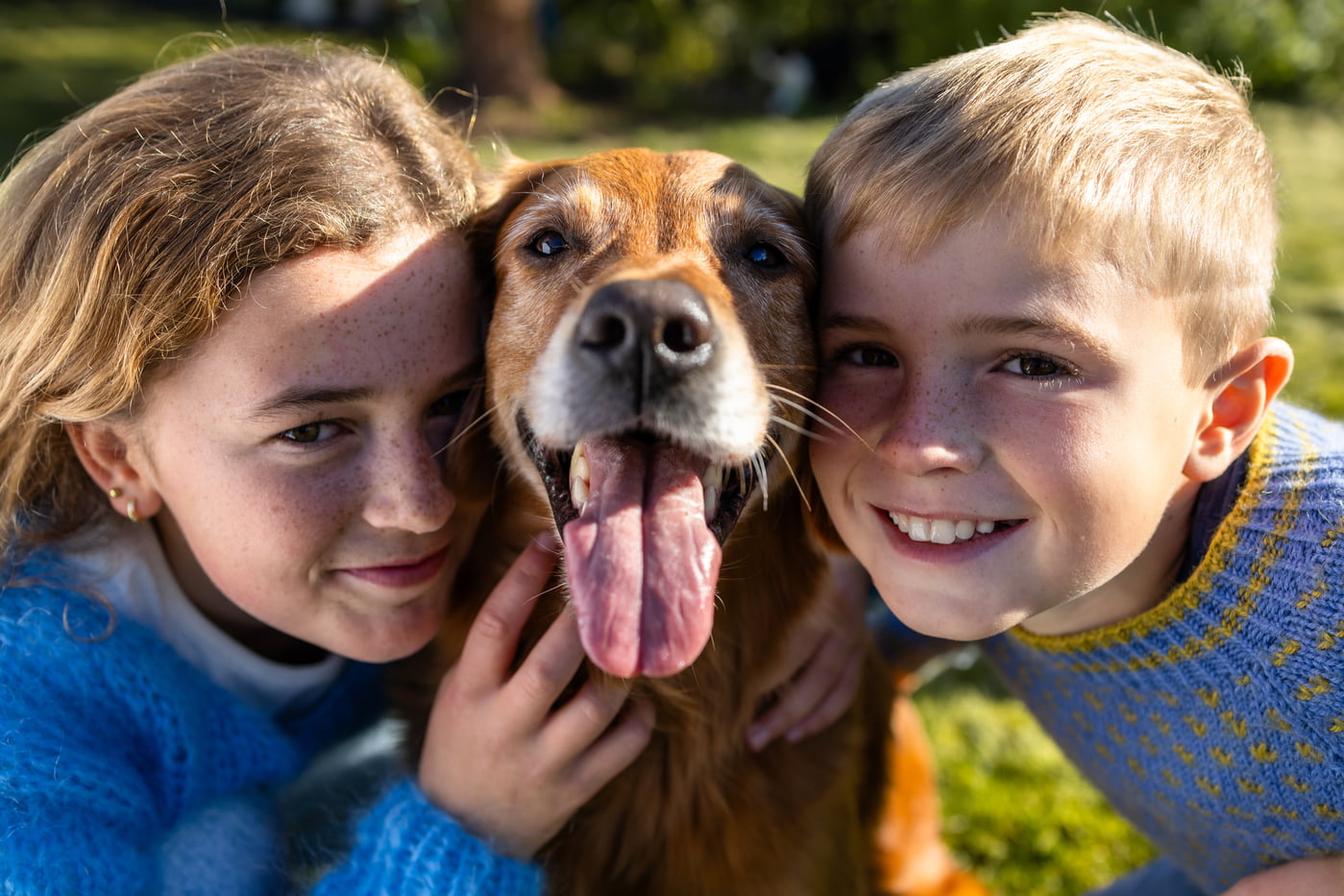 jente og gutt koser hund i mellom seg